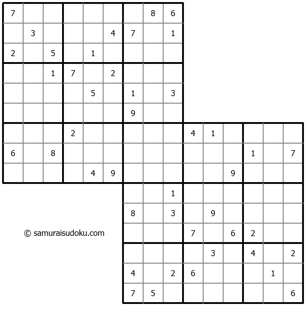 双重叠数独 #31473